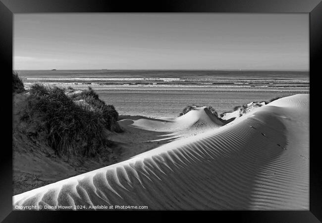 Camber Sands Dunes Monochrome Framed Print by Diana Mower