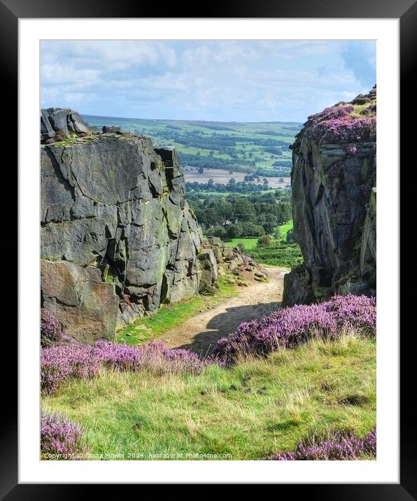 Ilkley Moor View Framed Mounted Print by Diana Mower