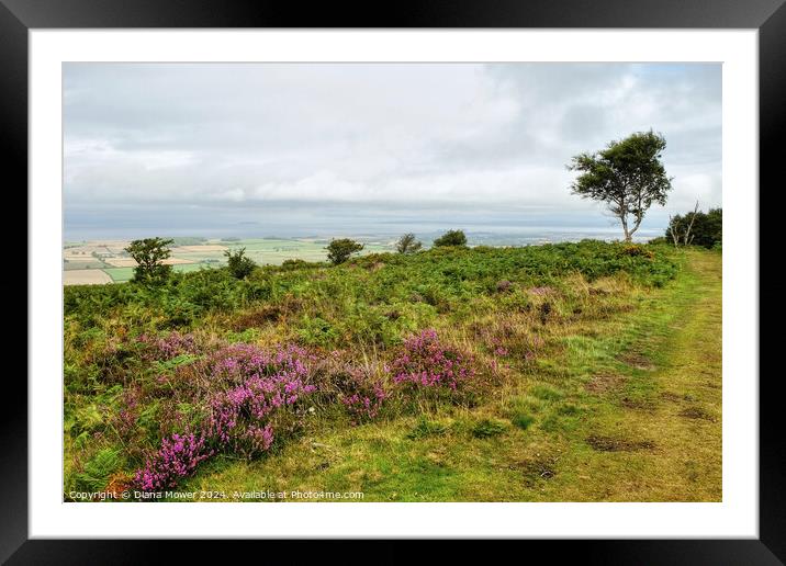  Quantocks and Somerset Levels Framed Mounted Print by Diana Mower
