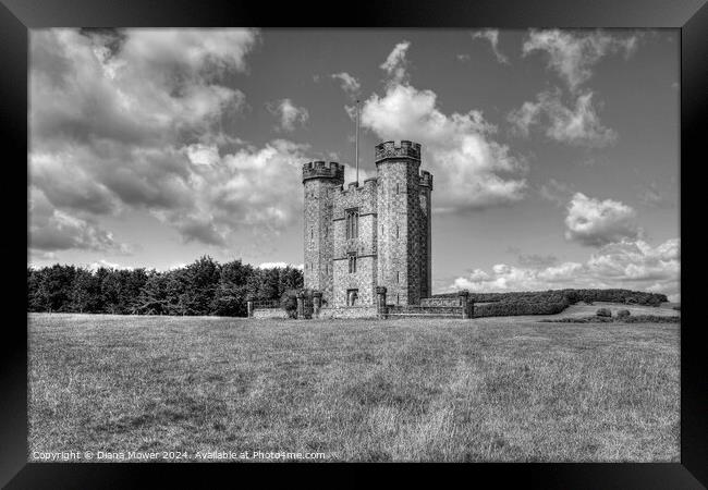 Hiorne Tower West Sussex Monochrome Framed Print by Diana Mower