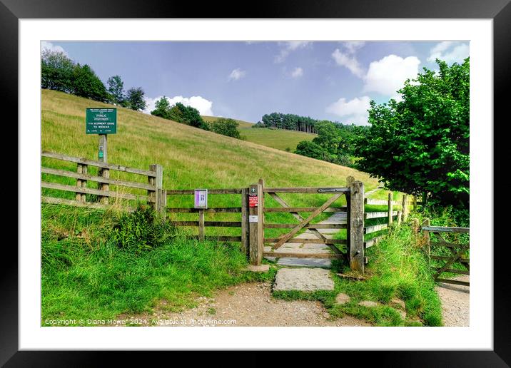 Footpath To Derwent Edge   Framed Mounted Print by Diana Mower