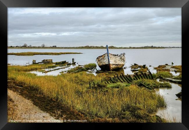 Boat Wrecks Maldon Essex Framed Print by Diana Mower