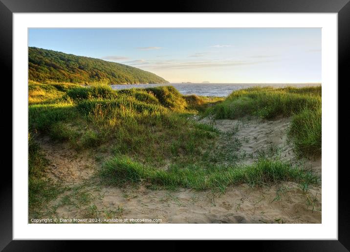 Early evening Sand Bay Somerset Framed Mounted Print by Diana Mower