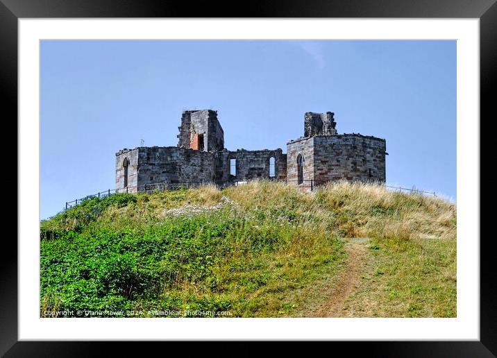 Stafford Castle Framed Mounted Print by Diana Mower