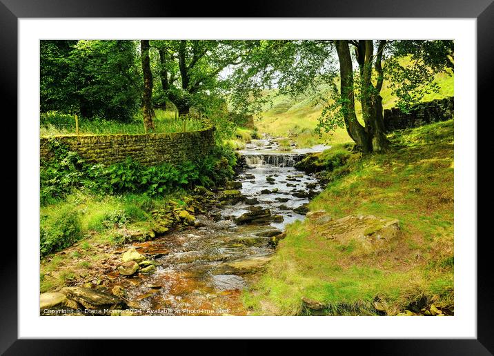  River Colne near Marsden Moor  Framed Mounted Print by Diana Mower
