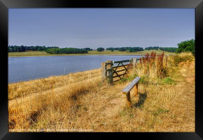 Blithfield Reservoir View Staffordshire Framed Print by Diana Mower