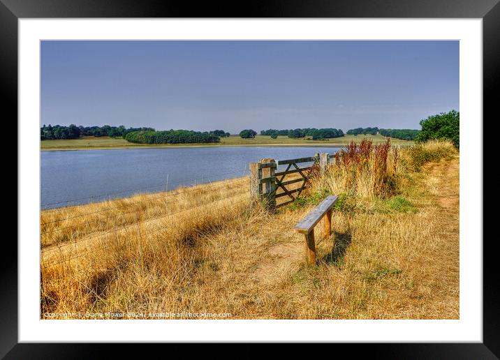 Blithfield Reservoir View Staffordshire Framed Mounted Print by Diana Mower