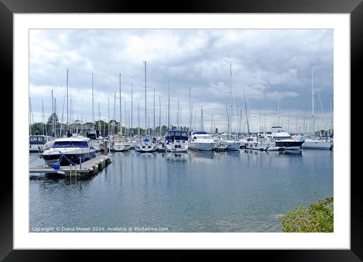 Chichester Marina Sussex Framed Mounted Print by Diana Mower