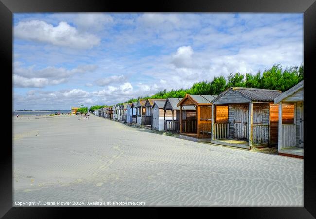 West Wittering beach Huts   Framed Print by Diana Mower