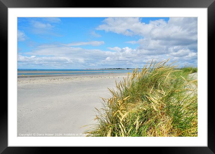 West Wittering Beach and Dunes Framed Mounted Print by Diana Mower