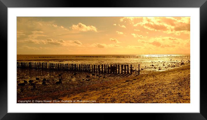  Mersea Island Sunset Framed Mounted Print by Diana Mower