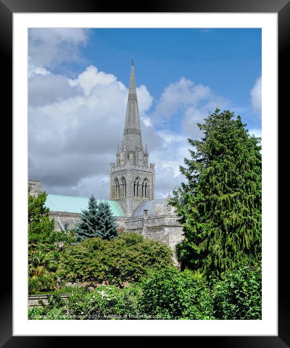 Chichester Cathedral West Sussex Framed Mounted Print by Diana Mower