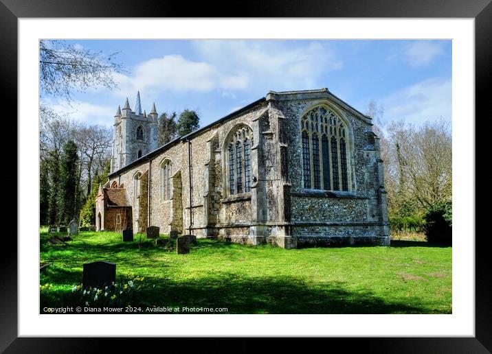  The Church of St Mary the virgin, Little Sampford Framed Mounted Print by Diana Mower