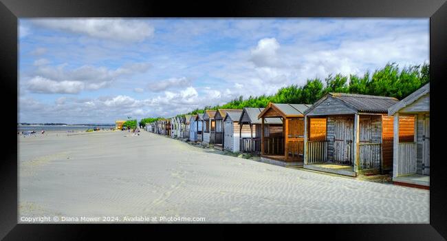 West Wittering beach Huts   Framed Print by Diana Mower