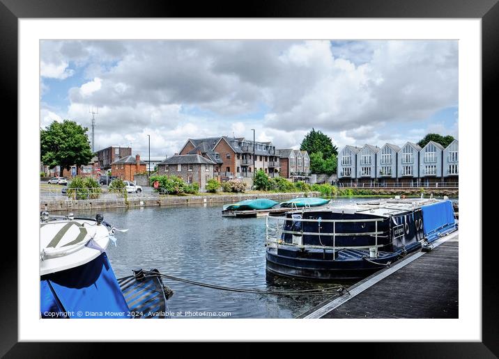 Chichester Canal Basin West Sussex Framed Mounted Print by Diana Mower