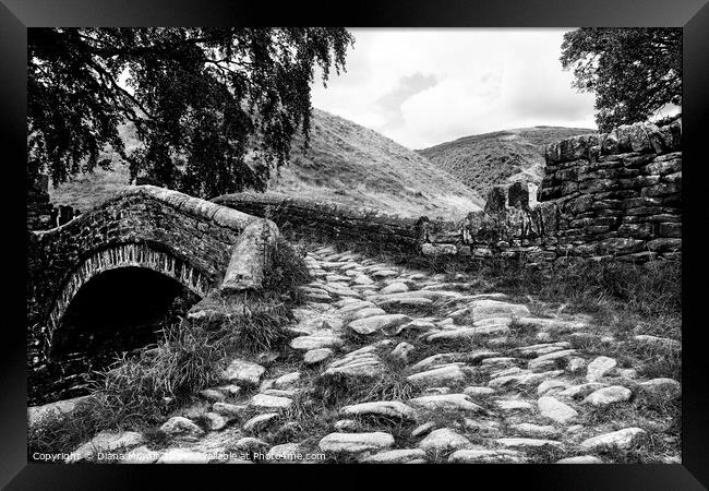 Eastergate Bridge Cobbles Marsden  Framed Print by Diana Mower