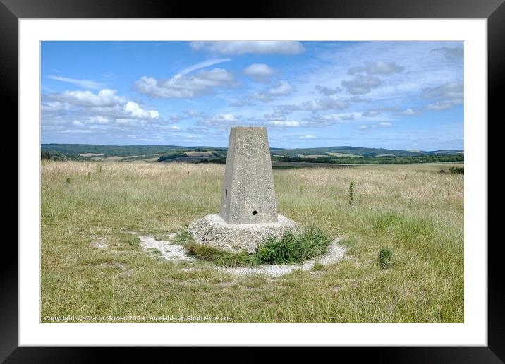 The TrundleTriangulation point Framed Mounted Print by Diana Mower