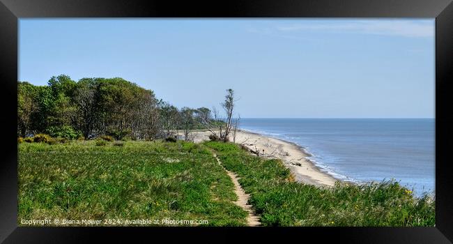 The Beach Path Covehithe Suffolk Framed Print by Diana Mower