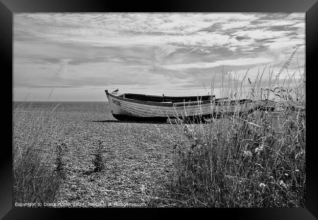 Aldeburgh Beach flowers Monochrome   Framed Print by Diana Mower