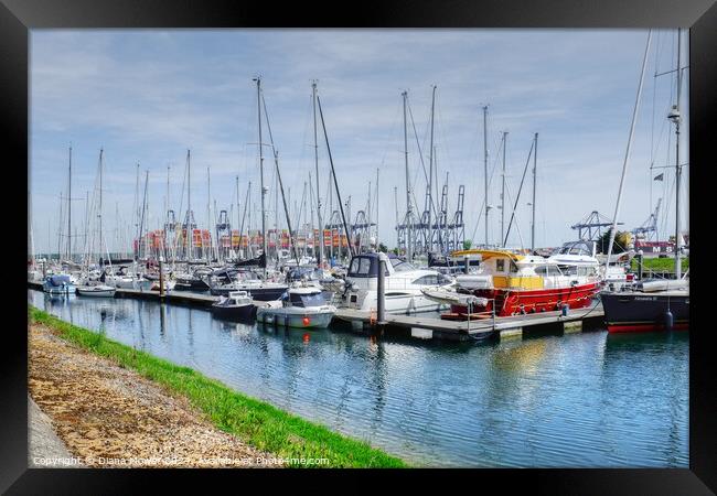 Shotley Marina Suffolk Framed Print by Diana Mower