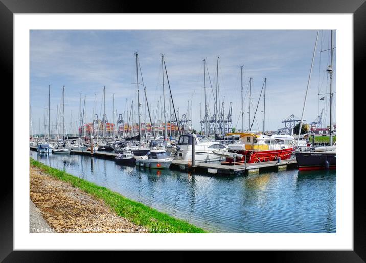 Shotley Marina Suffolk Framed Mounted Print by Diana Mower