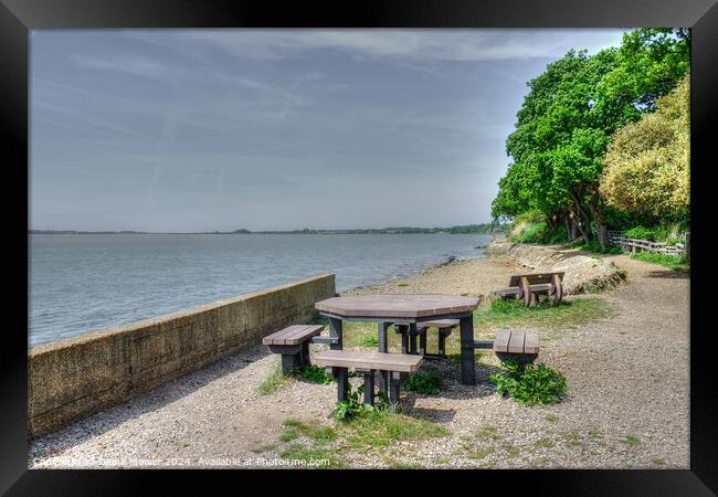 Shotley Picnic Area Suffolk Framed Print by Diana Mower
