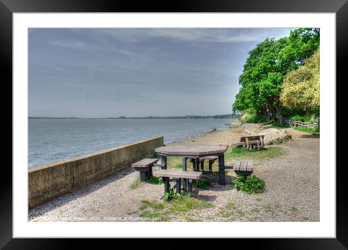  Shotley Picnic Area Suffolk Framed Mounted Print by Diana Mower