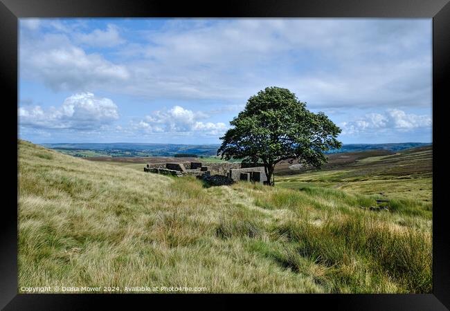 Top Withens Haworth Moor Yorkshire Framed Print by Diana Mower