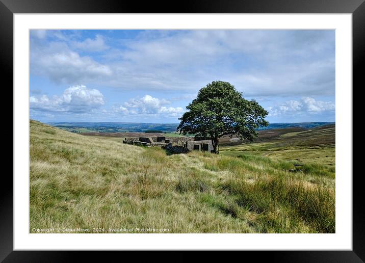 Top Withens Haworth Moor Yorkshire Framed Mounted Print by Diana Mower