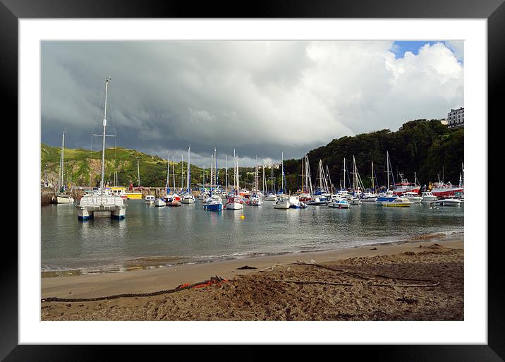 Ilfracombe Harbour Framed Mounted Print by Diana Mower