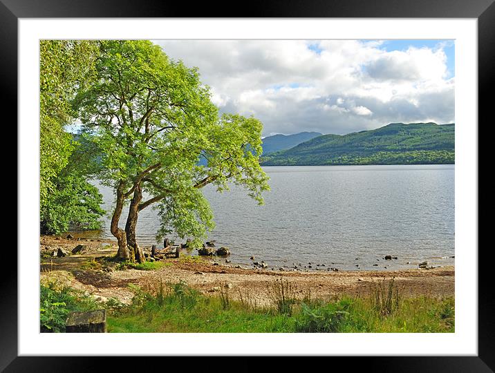 Loch Lomond Scotland Framed Mounted Print by Diana Mower