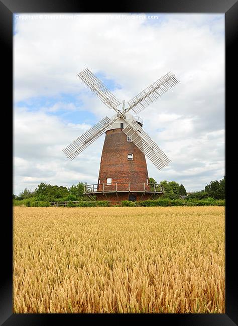 Thaxted Windmill Essex Framed Print by Diana Mower