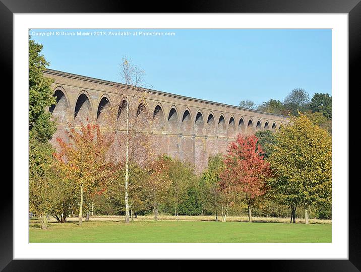 Chappel Viaduct Essex Framed Mounted Print by Diana Mower