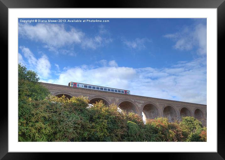 Chappel Viaduct Essex Framed Mounted Print by Diana Mower
