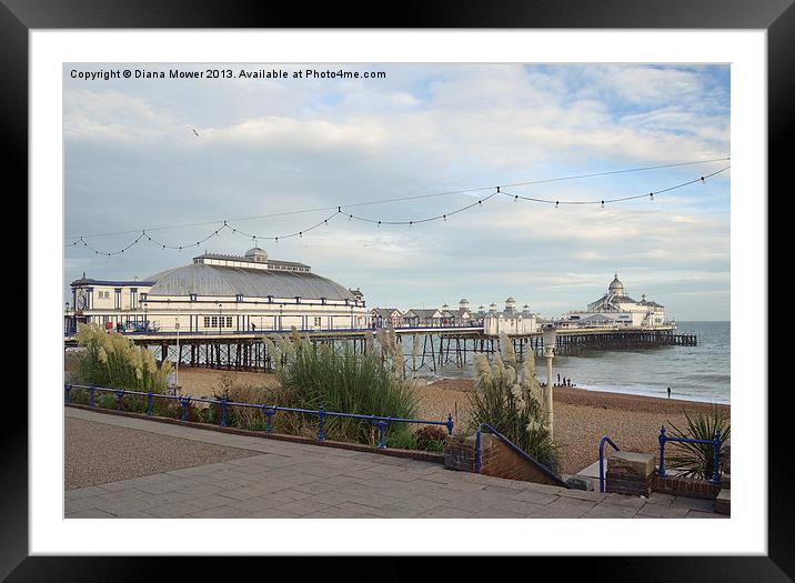 Eastbourne Pier Sussex Framed Mounted Print by Diana Mower