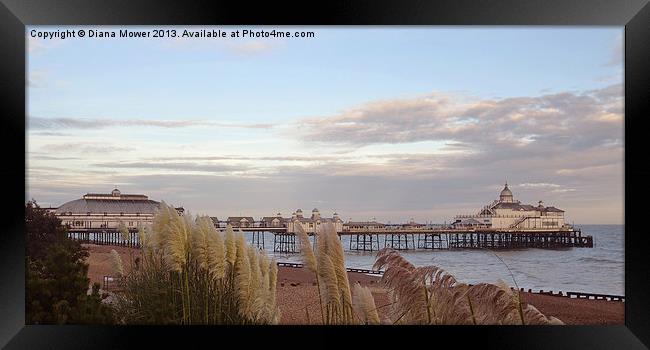 Eastbourne Pier East Sussex Framed Print by Diana Mower