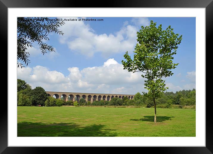 Chappel Viaduct Essex Framed Mounted Print by Diana Mower