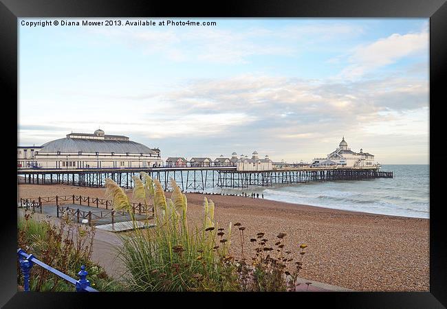 Eastbourne Beach and Pier Sussex Framed Print by Diana Mower