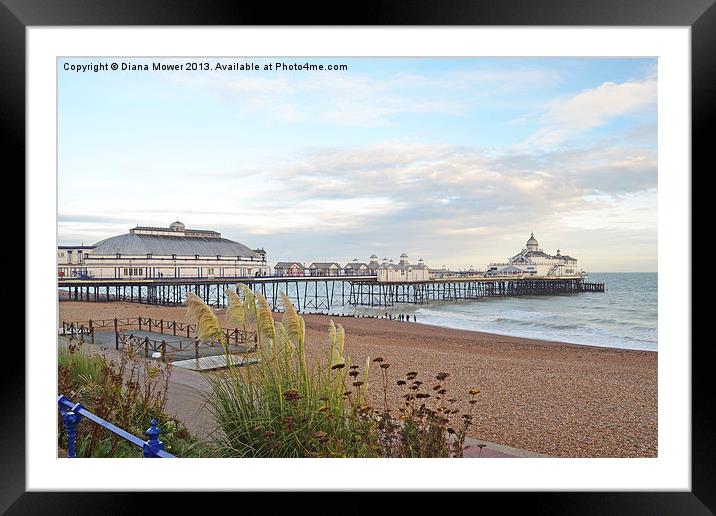 Eastbourne Beach and Pier Sussex Framed Mounted Print by Diana Mower