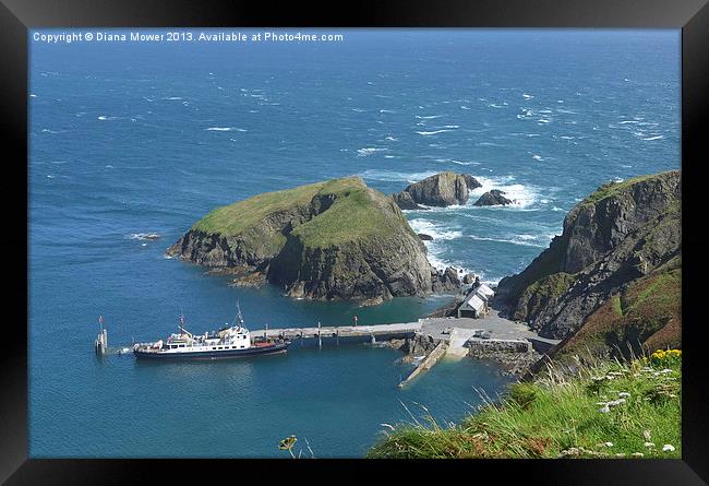 Lundy Island Harbour Framed Print by Diana Mower