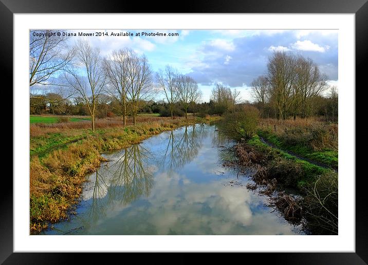 River Blackwater  near Maldon Essex Framed Mounted Print by Diana Mower