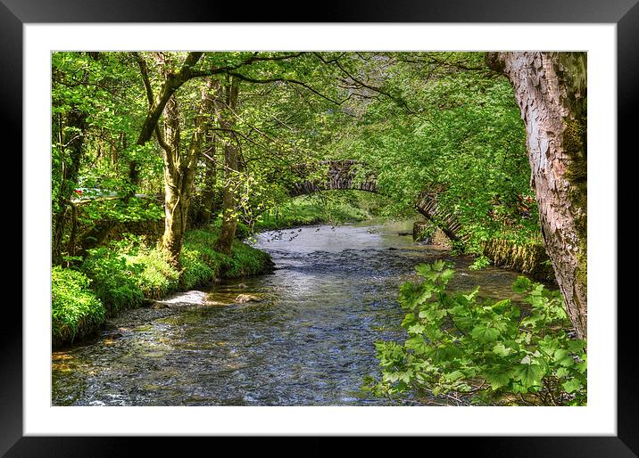 Ambleside River Cumbria  Framed Mounted Print by Diana Mower