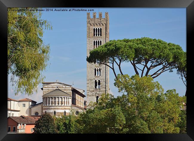 Lucca Tuscany Italy Framed Print by Diana Mower