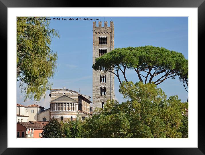 Lucca Tuscany Italy Framed Mounted Print by Diana Mower