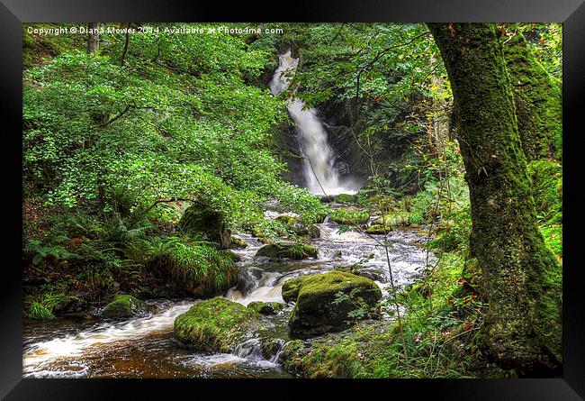 Dolgoch Falls Wales Framed Print by Diana Mower