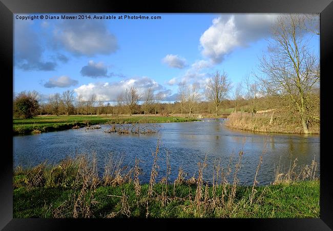 River Stour Framed Print by Diana Mower