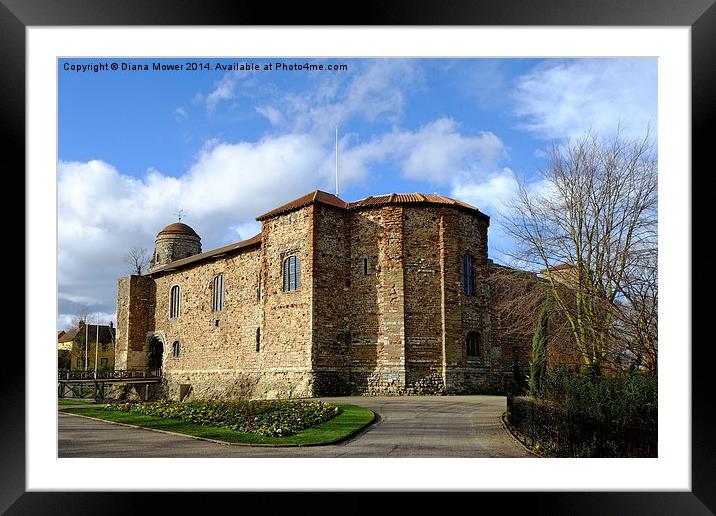 Colchester Castle Framed Mounted Print by Diana Mower