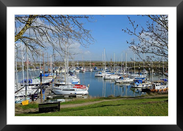 Tollesbury Marina Framed Mounted Print by Diana Mower