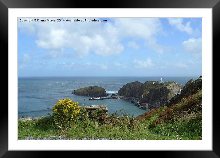 Lundy Island Framed Mounted Print by Diana Mower