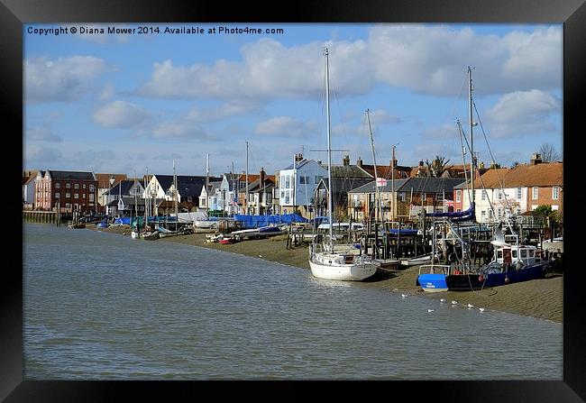 Wivenhoe Framed Print by Diana Mower